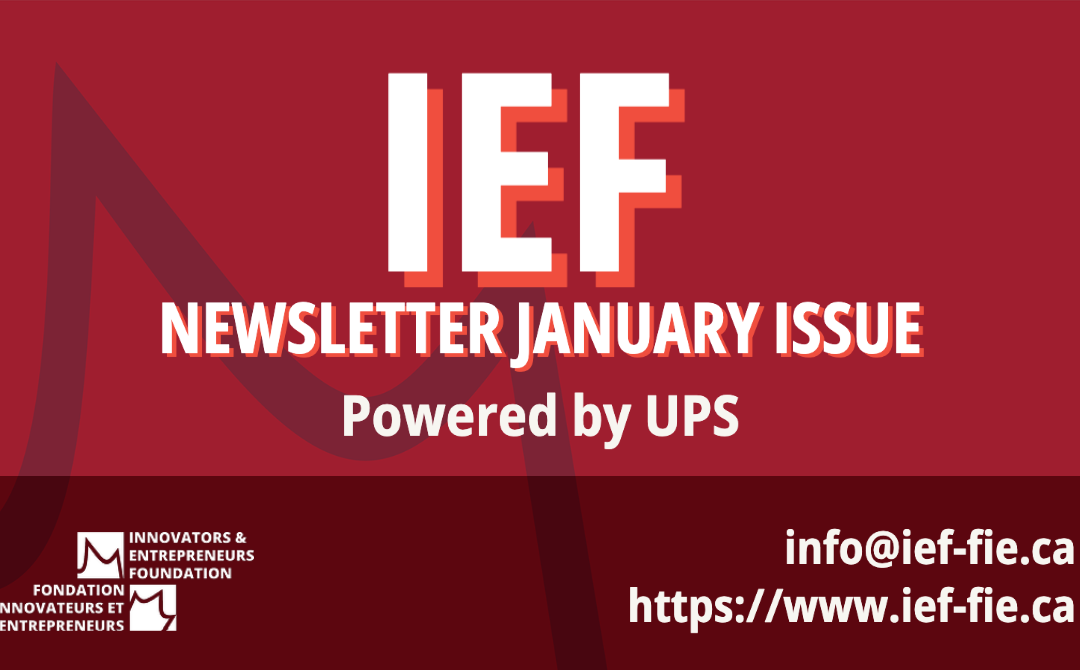 IEF Newsletter 11